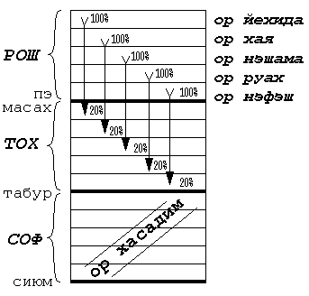 pic. 15